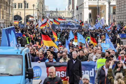 Teilnehmer einer Demo der AfD in Berlin