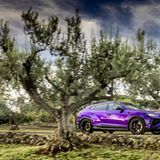 Lamborghini Urus Performante