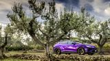 Lamborghini Urus Performante