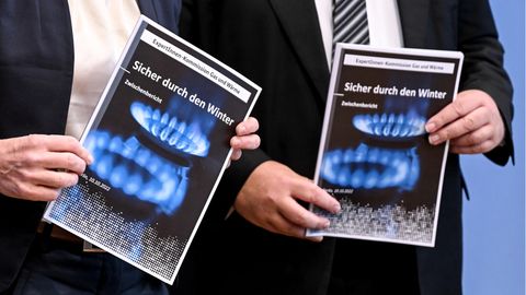 Gaspreis Expertenkommission