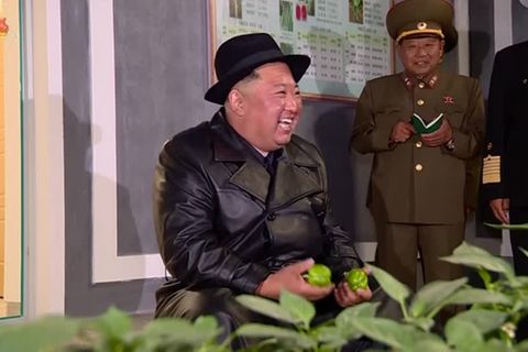 Video: Staatschef Kim eröffnet Gewächshaus