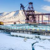 Drei Eisbären vor verschneiten Hafenanlage