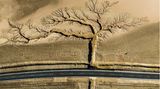 baumartige verzweigte Spuren im Sand