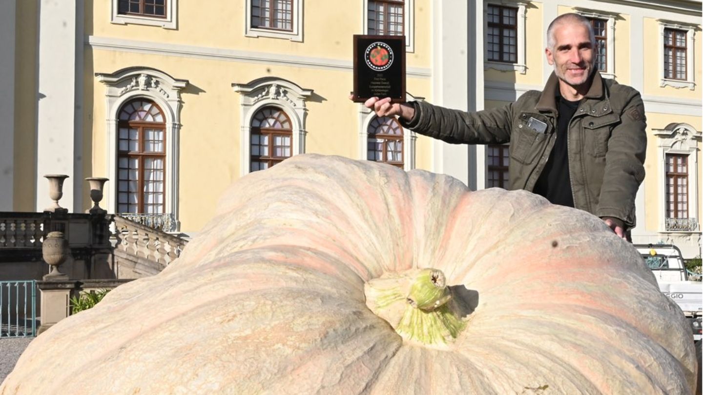 Kürbiszüchter und Titelverteidiger Stefano Cutrupi steht neben seinem Kürbis, der zum größten Europas gekürt wurde