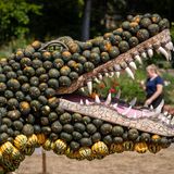 Ein aus Kürbissen gebautes Krokodil des Künstlers Pit Ruge