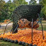 Eine aus Kürbissen gebaute Blattschneiderameise des Künstlers Pit Ruge
