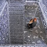 Das Haus von "Mr. Doodle" in Bildern