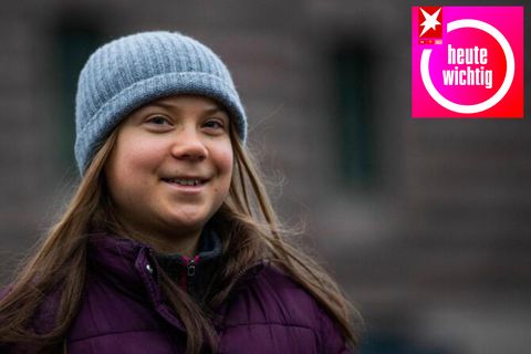 Klimaaktivistin Greta Thunberg bei einem Protest vor dem schwedischen Parlament im November 2021
