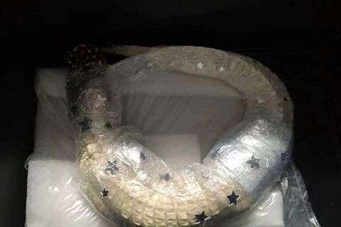 Der in Frischhaltefolie gewickelte Alligator liegt in einem Koffer am Flughafen München