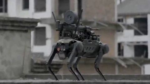 Militärtechnologie aus China: Drohne setzt bewaffneten Roboter-Hund ab