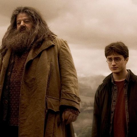 Robbie Coltrane und Daniel Radcliffe in Harry Potter