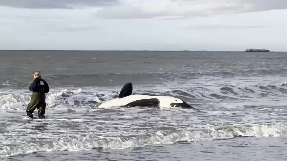 Zeeland