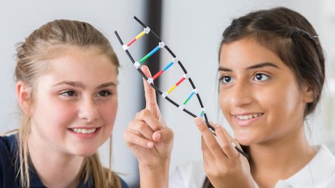 Zwei Schülerinnen halten ein DNA-Modell in der Hand
