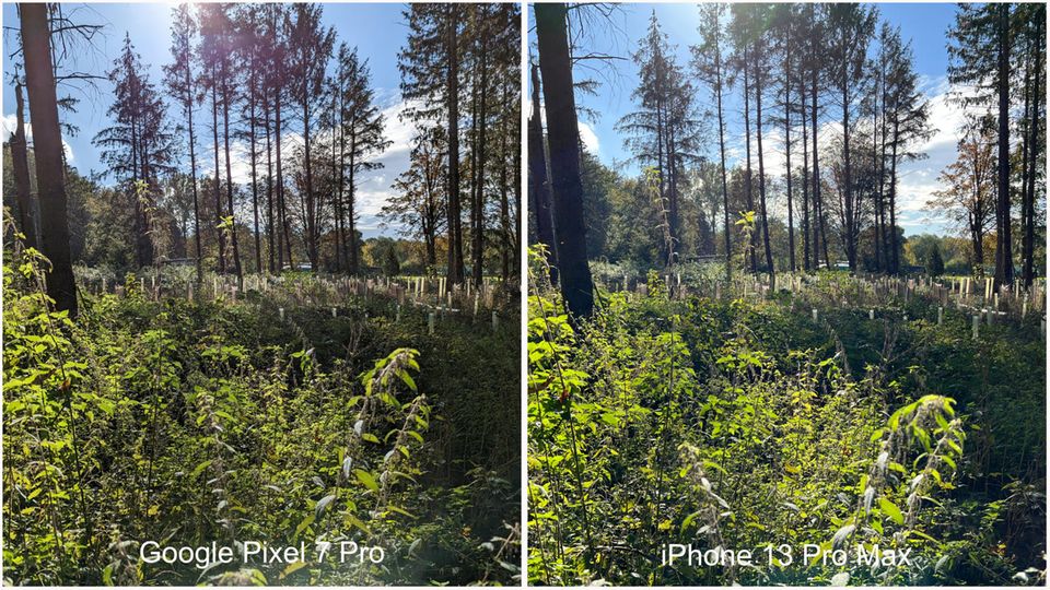 Fotovergleich Google Pixel 7 Pro versus iPhone 13 Pro Max