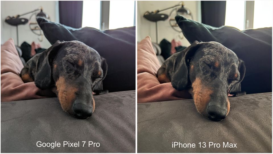 Fotovergleich Google Pixel 7 Pro versus iPhone 13 Pro Max