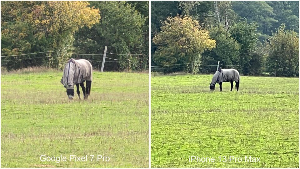 Fotovergleich Google Pixel 7 Pro versus iPhone 13 Pro Max
