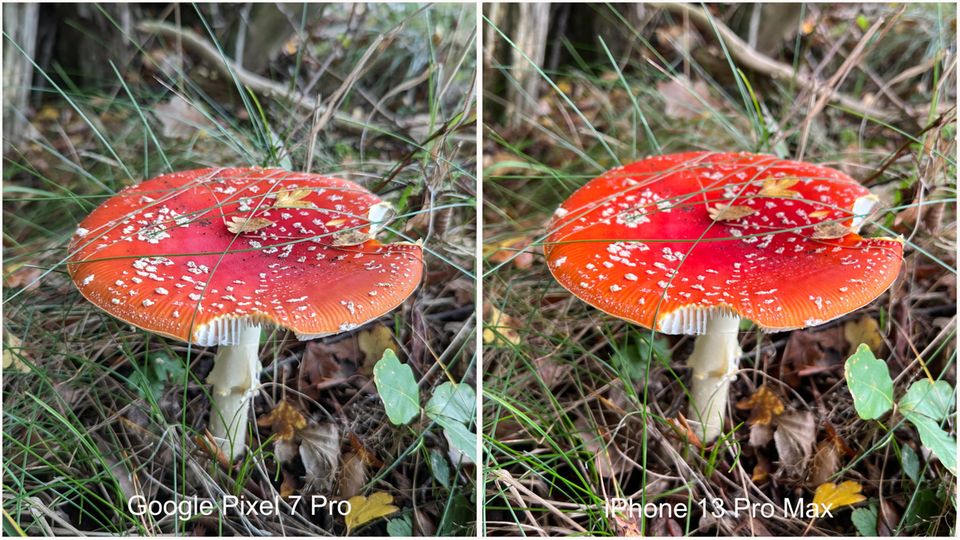 Fotovergleich Google Pixel 7 Pro versus iPhone 13 Pro Max