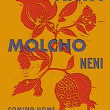 Cover des Kochbuchs "Coming Home"