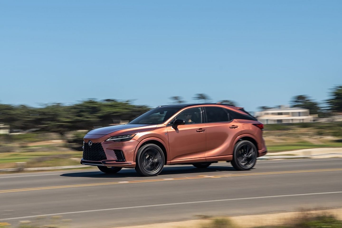 Lexus RX 500h