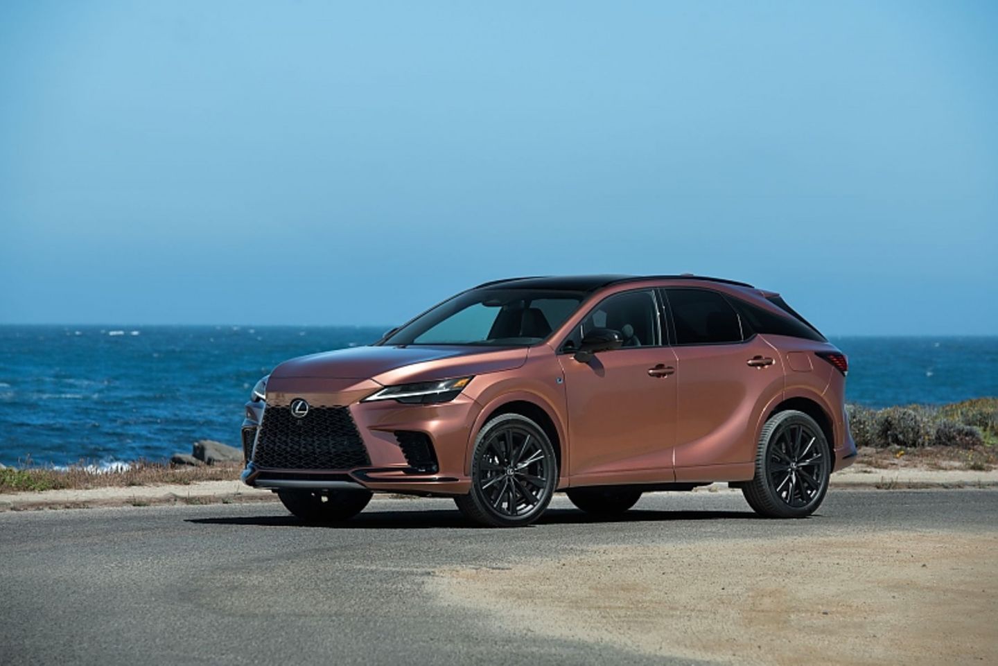 Lexus RX 500h