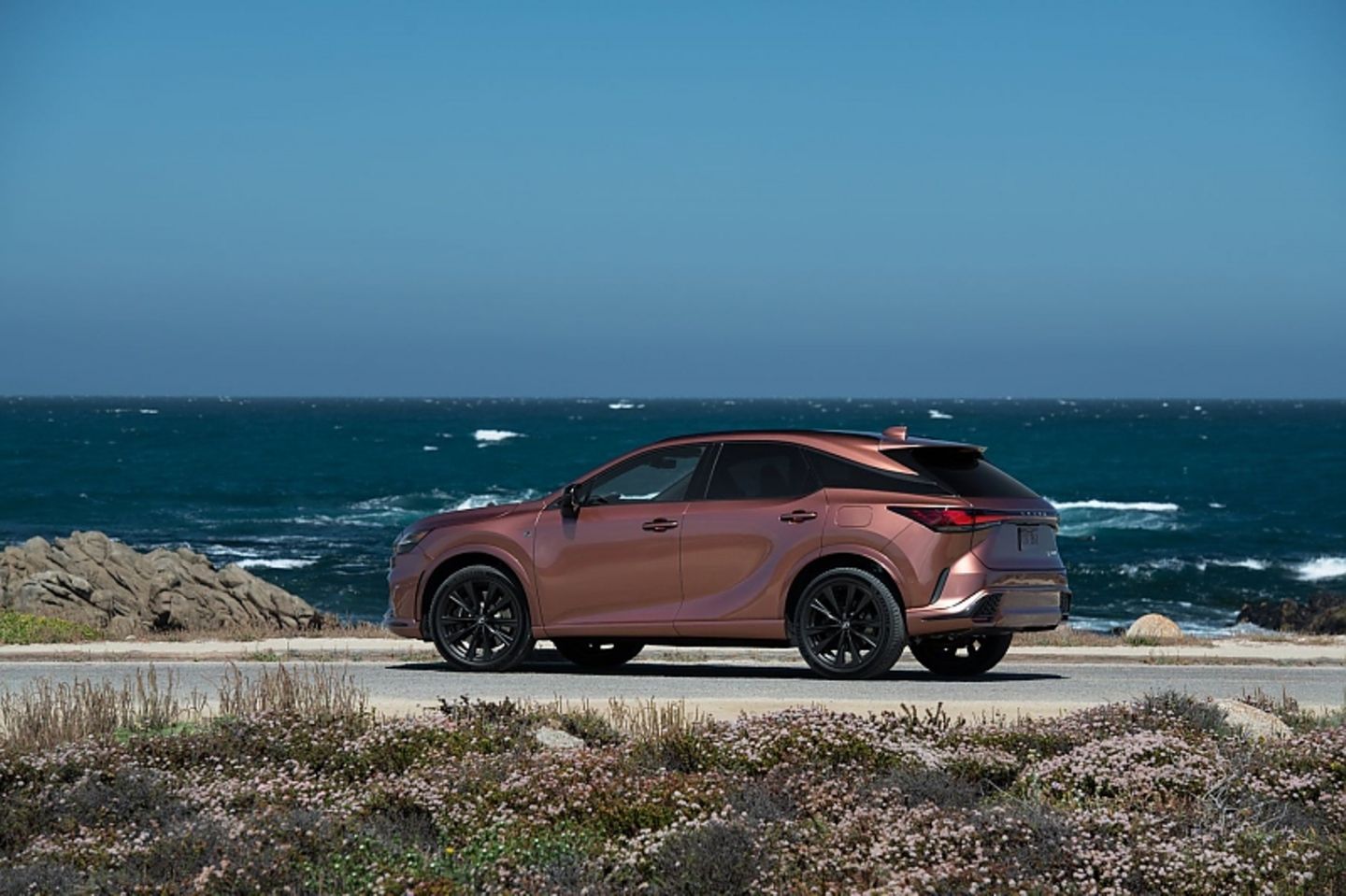 Lexus RX 500h