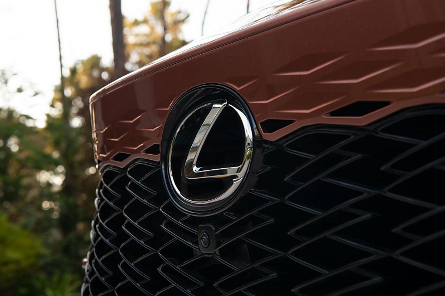 Lexus RX 500h