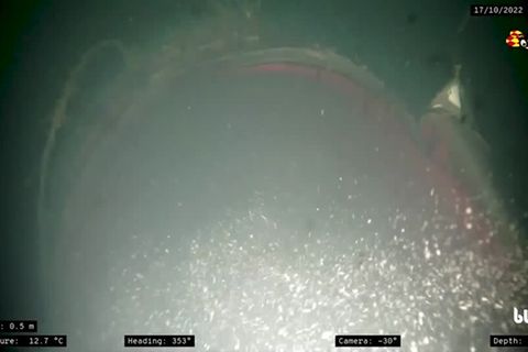 Video: Unterwasseraufnahmen sollen zerstörte Gaspipeline zeigen