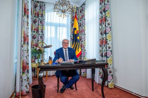 Bundespräsident Frank-Walter Steinmeier vor einer Blümchengardine