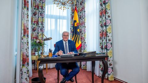 Bundespräsident Frank-Walter Steinmeier vor einer Blümchengardine