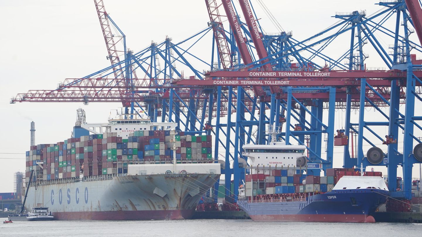 Containerterminal Tollerort im Hamburger Hafen