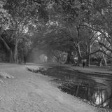 Ein Waldpfad führt an einem Fluss entlang
