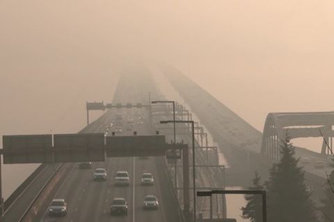 Video: Im Würgegriff des Qualms