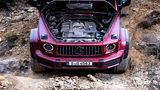 Mercedes-AMG G 63 4x4 hoch2