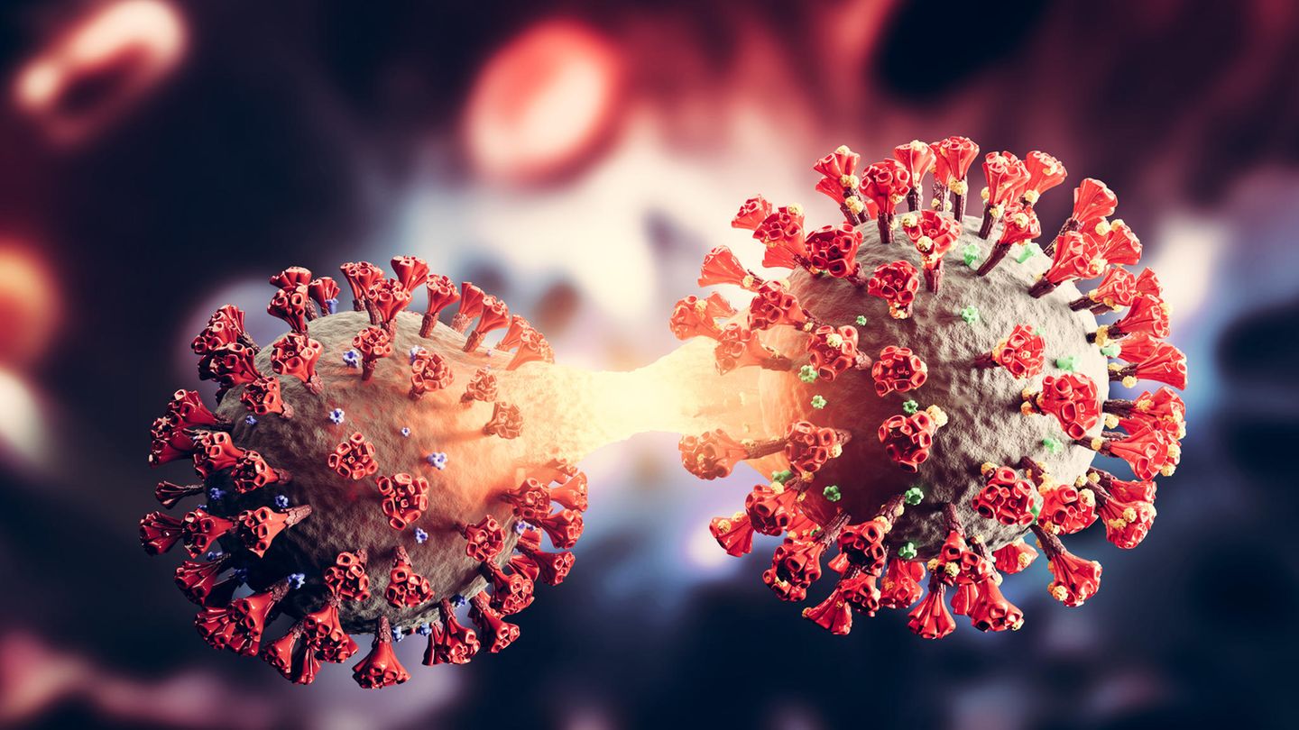Neue Mutation des Coronavirus Cerberus
