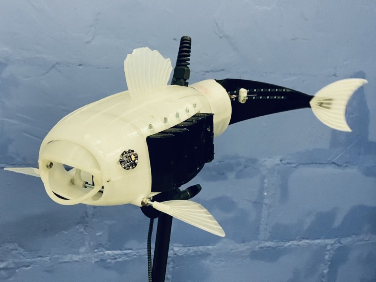 Roboter-Karpfen futtert Plastikmll aus den Gewssern | STERN.de