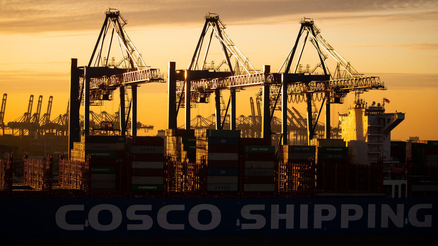 Cosco partial entry in Hamburg: Cabinet decides on compromise