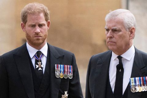 Prinz Harry und Prinz Andrew