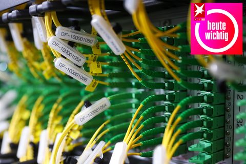 Grüb-gelbe Bündel von Glasfaserkabeln verbinden Server miteinander