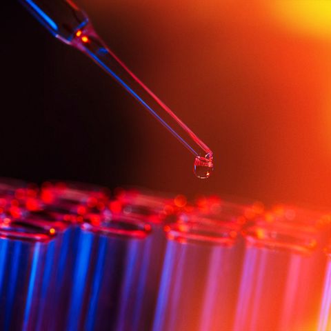 Reagenzgläser mit Pipette in einem Labor