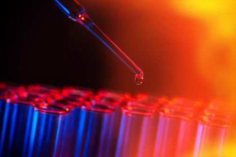 Reagenzgläser mit Pipette in einem Labor