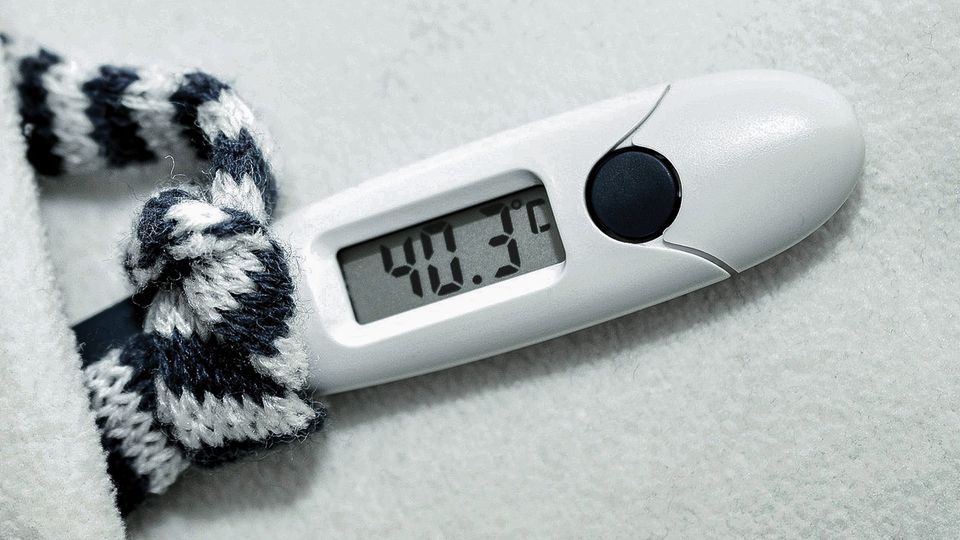 Fieber-Guide: Ab dieser Temperatur kann Fieber gefährlich werden Fieber-Guide: Ab dieser Temperatur kann Fieber gefährlich werden
