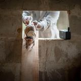 Eine Ratte mit einer kleinen Weste geht eine Holzrampe hinunter