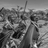 Drei Maasai Frauen während der Regenzeremonie