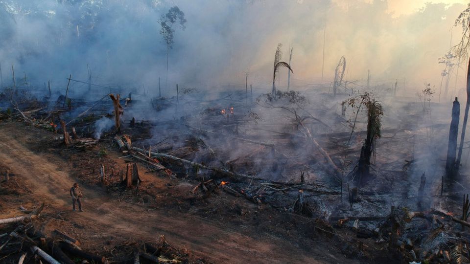 Ein Brand in einem Amazonasgebiet