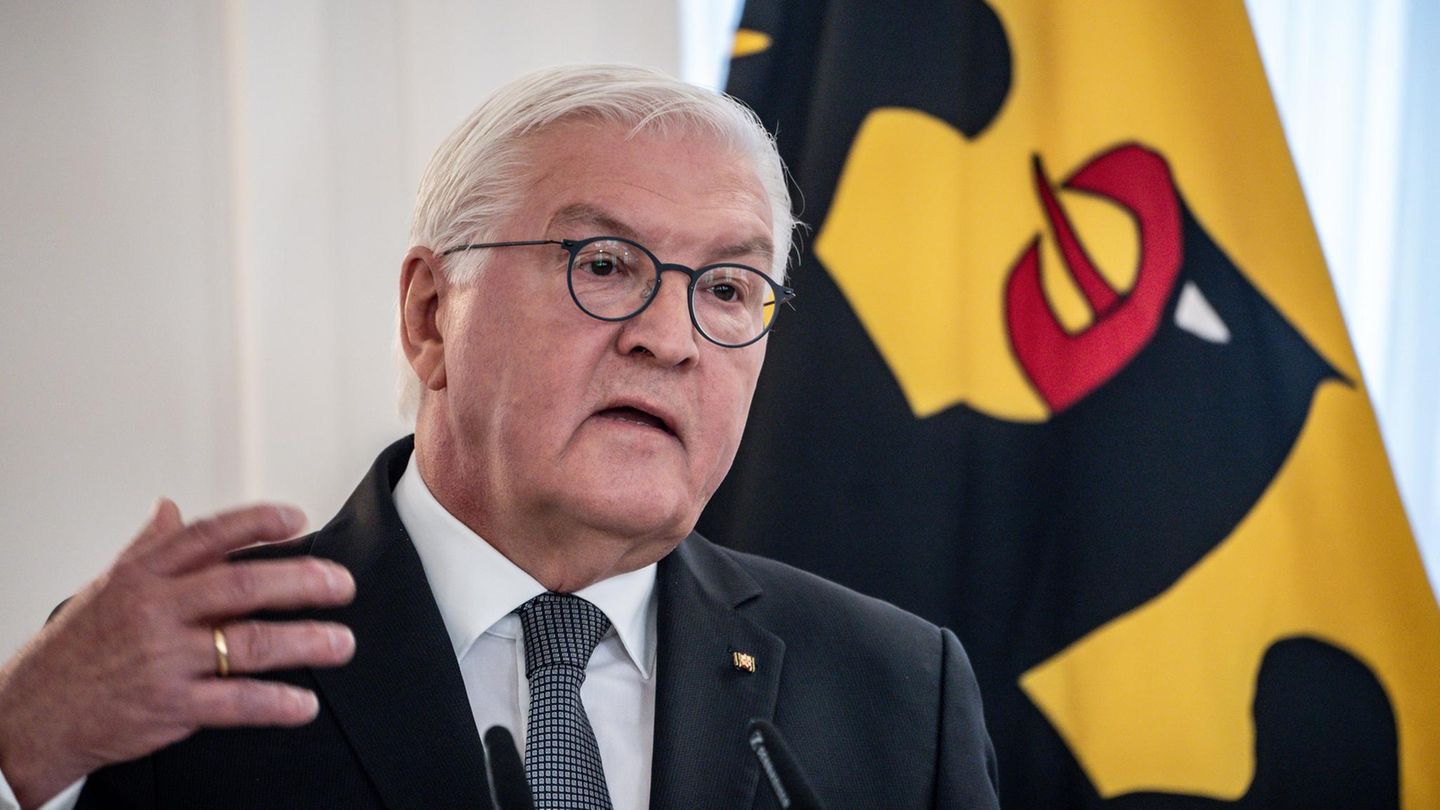 Bundespräsident Frank-Walter Steinmeier spricht bei einer Veranstaltung