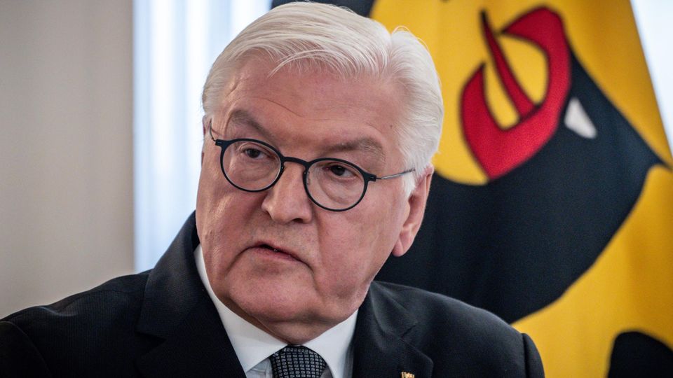 Bundespräsident Frank-Walter Steinmeier spricht bei einer Veranstaltung mit der Deutschen Nationalstiftung.