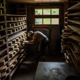 Die Bäuerin wendet die Käselaibe