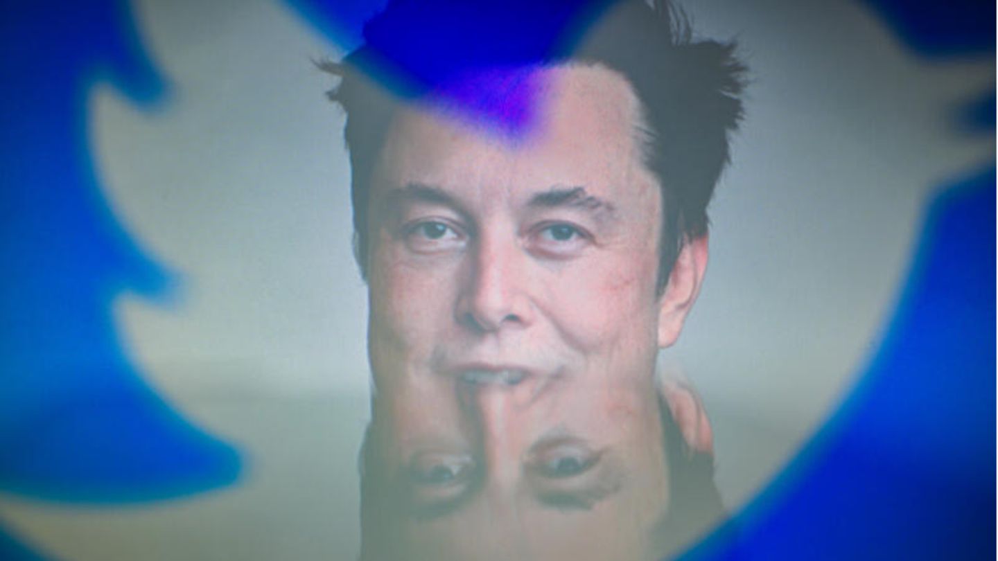 Tech-Milliardär Elon Musk hinter den Silhouetten des Twitter-Logos. "Der Vogel ist befreit", twittert er zum abgeschlossenen Deal.