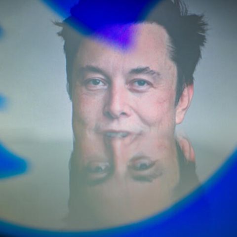 Tech-Milliardär Elon Musk hinter den Silhouetten des Twitter-Logos. "Der Vogel ist befreit", twittert er zum abgeschlossenen Deal.