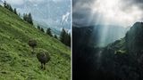 Bauern tragen riesige Heuballen auf dem Rücken, doch er Sonnenuntergang entlohnt für die harte Arbeit